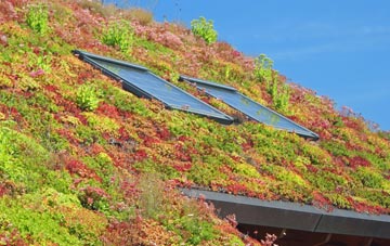 Scagglethorpe living roof systems