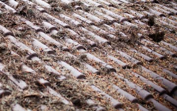 Scagglethorpe roof cleaning companies